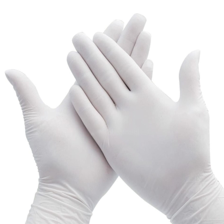 Damski medyczny zestaw 4W1 - komplet dla studenta